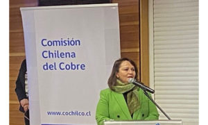 Empresa nacional del Litio y Cochilco